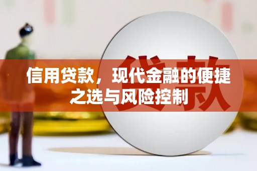 灌阳信用贷款，现代金融的便捷之选与风险控制