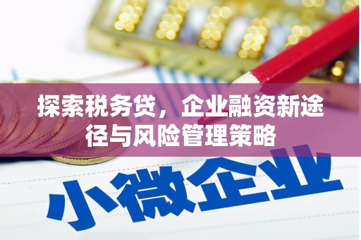 灌阳探索税务贷，企业融资新途径与风险管理策略