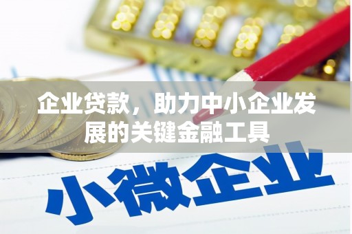 灌阳企业贷款，助力中小企业发展的关键金融工具