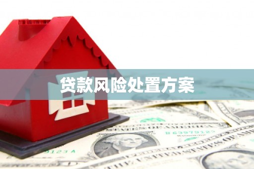 灌阳贷款风险处置方案