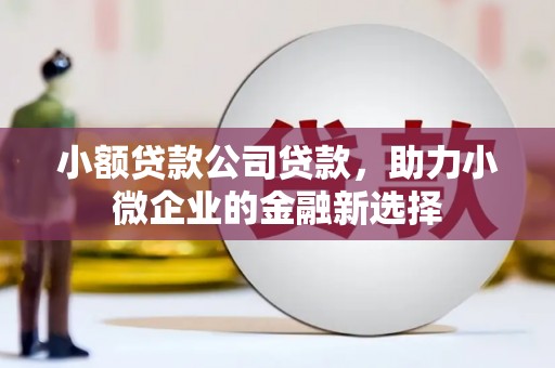 灌阳小额贷款公司贷款，助力小微企业的金融新选择