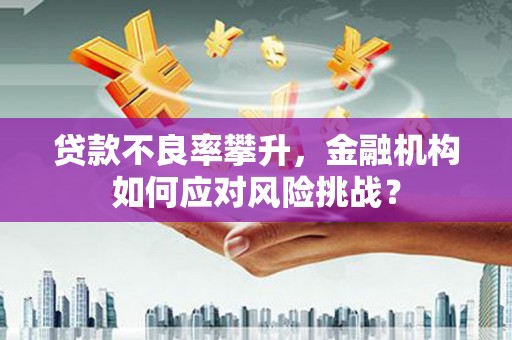 灌阳贷款不良率攀升，金融机构如何应对风险挑战？