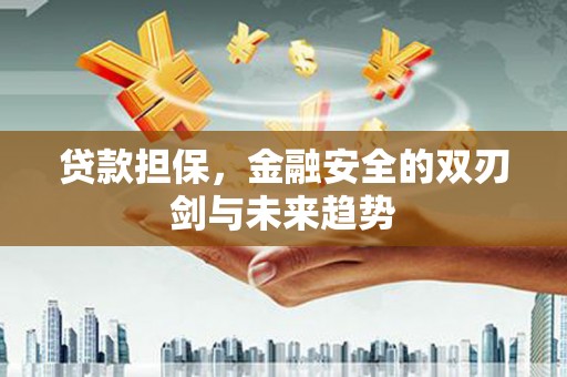 灌阳贷款担保，金融安全的双刃剑与未来趋势