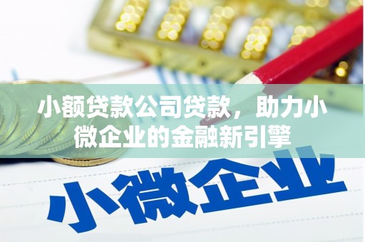 灌阳小额贷款公司贷款，助力小微企业的金融新引擎