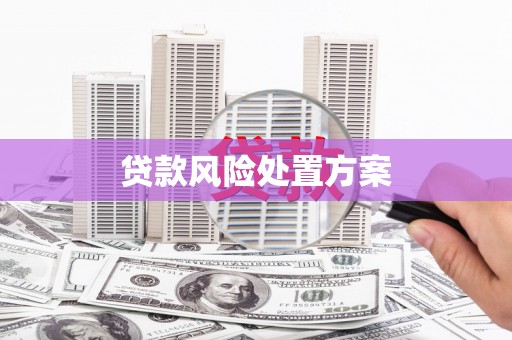 灌阳贷款风险处置方案