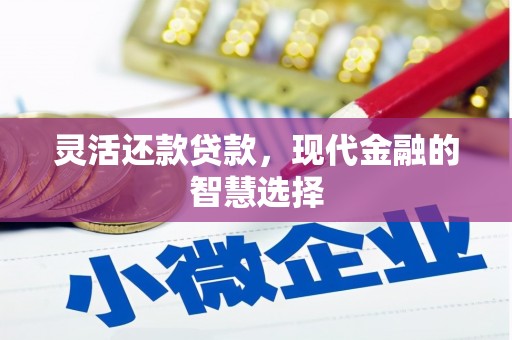 灌阳灵活还款贷款，现代金融的智慧选择