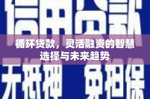 灌阳循环贷款，灵活融资的智慧选择与未来趋势