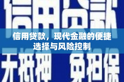 灌阳信用贷款，现代金融的便捷选择与风险控制