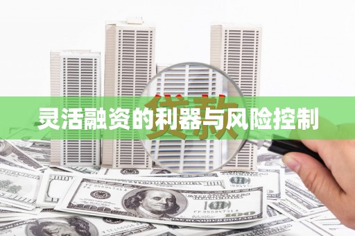 灌阳灵活融资的利器与风险控制