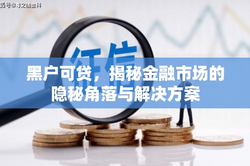 灌阳黑户可贷，揭秘金融市场的隐秘角落与解决方案