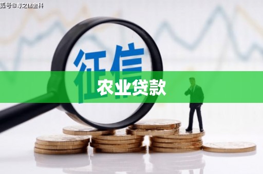 灌阳农业贷款