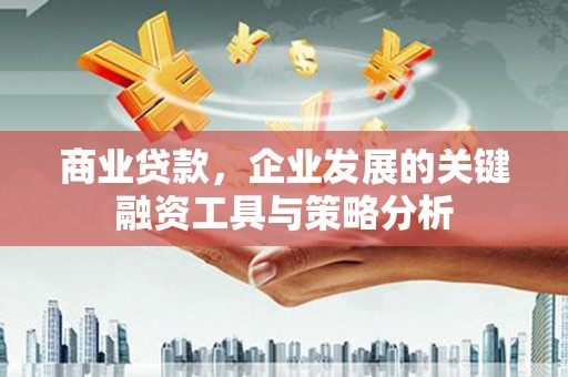 灌阳商业贷款，企业发展的关键融资工具与策略分析