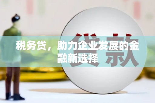 灌阳税务贷，助力企业发展的金融新选择