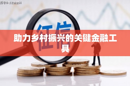 灌阳助力乡村振兴的关键金融工具