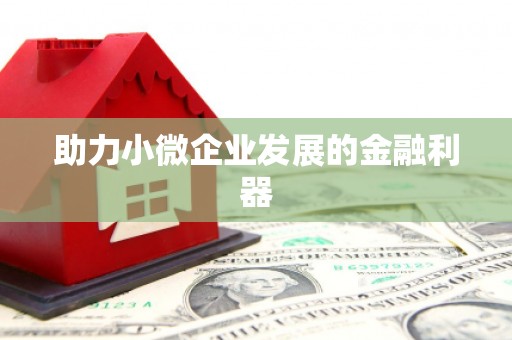 灌阳助力小微企业发展的金融利器