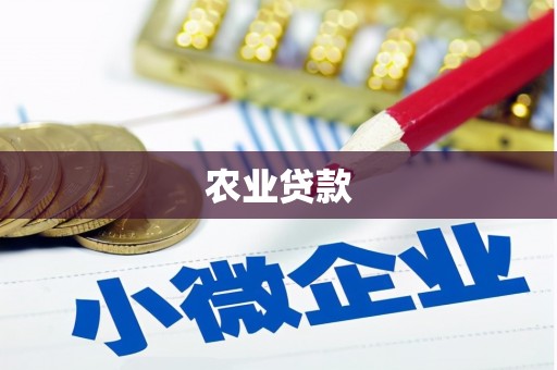 灌阳农业贷款