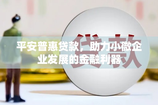 灌阳平安普惠贷款，助力小微企业发展的金融利器