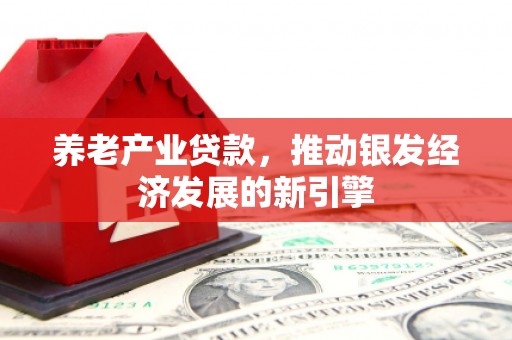 灌阳养老产业贷款，推动银发经济发展的新引擎