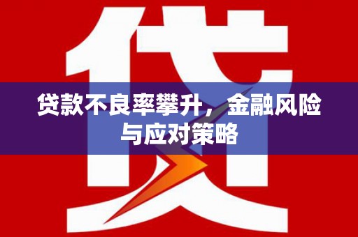 灌阳贷款不良率攀升，金融风险与应对策略