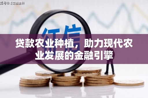 灌阳贷款农业种植，助力现代农业发展的金融引擎