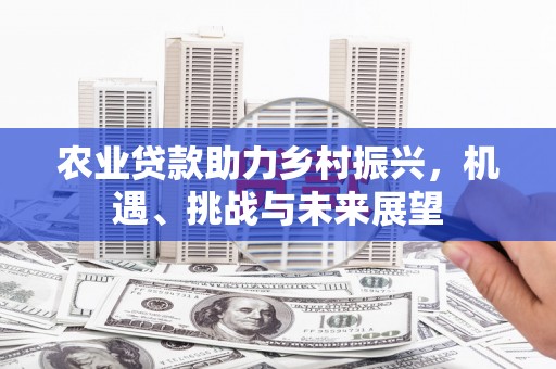 灌阳农业贷款助力乡村振兴，机遇、挑战与未来展望