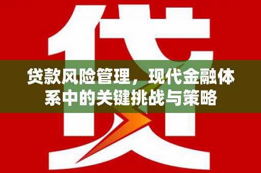 灌阳贷款风险管理，现代金融体系中的关键挑战与策略