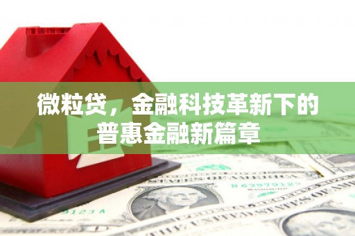 灌阳微粒贷，金融科技革新下的普惠金融新篇章