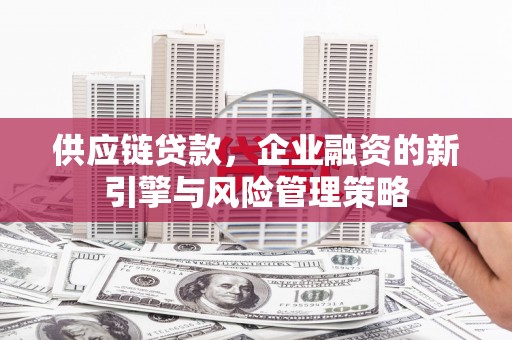 灌阳供应链贷款，企业融资的新引擎与风险管理策略