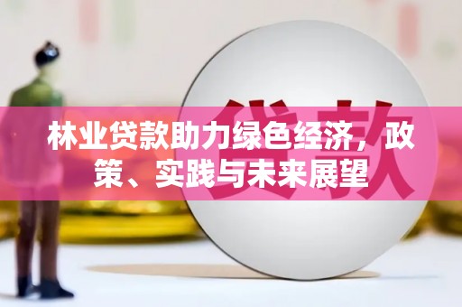 灌阳林业贷款助力绿色经济，政策、实践与未来展望