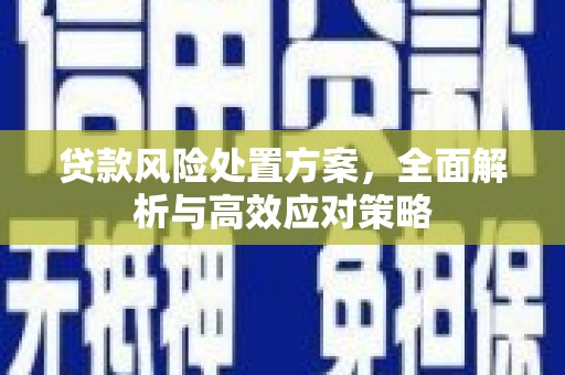 灌阳贷款风险处置方案，全面解析与高效应对策略