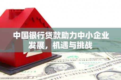 灌阳中国银行贷款助力中小企业发展，机遇与挑战