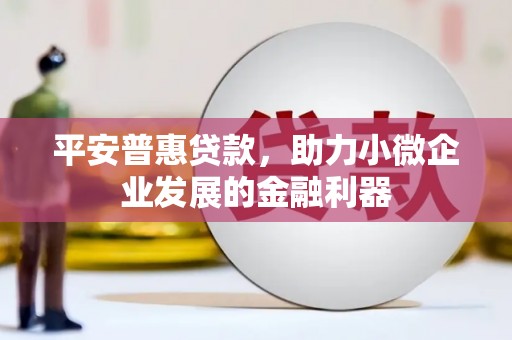灌阳平安普惠贷款，助力小微企业发展的金融利器