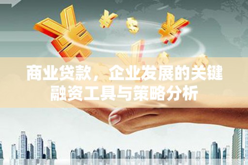 灌阳商业贷款，企业发展的关键融资工具与策略分析