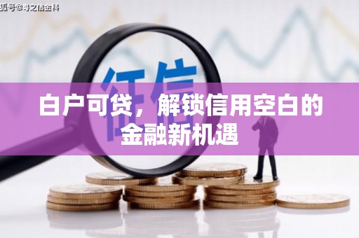 灌阳白户可贷，解锁信用空白的金融新机遇