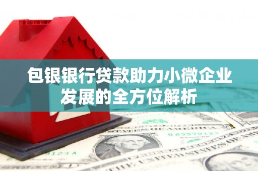 灌阳包银银行贷款助力小微企业发展的全方位解析