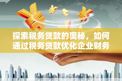 灌阳探索税务贷款的奥秘，如何通过税务贷款优化企业财务