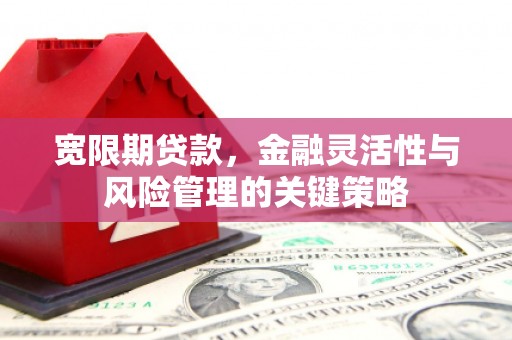 灌阳宽限期贷款，金融灵活性与风险管理的关键策略