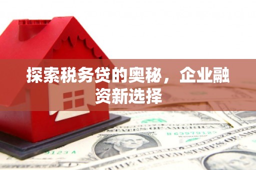 灌阳探索税务贷的奥秘，企业融资新选择