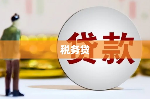 灌阳税务贷