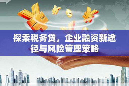 灌阳探索税务贷，企业融资新途径与风险管理策略