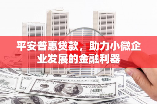 灌阳平安普惠贷款，助力小微企业发展的金融利器