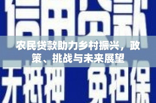 灌阳农民贷款助力乡村振兴，政策、挑战与未来展望