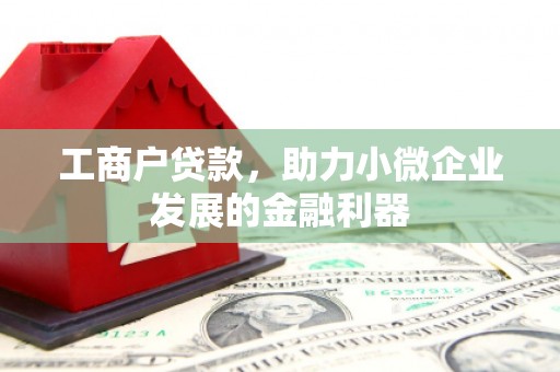 灌阳工商户贷款，助力小微企业发展的金融利器