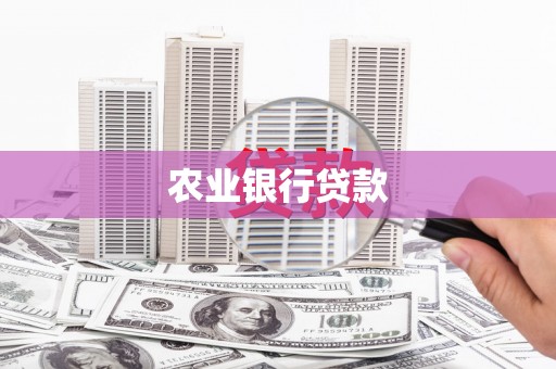 灌阳农业银行贷款