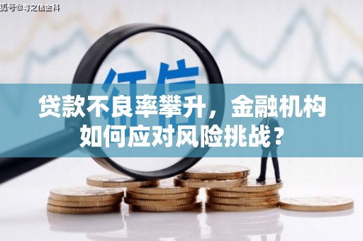 灌阳贷款不良率攀升，金融机构如何应对风险挑战？