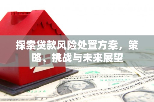 灌阳探索贷款风险处置方案，策略、挑战与未来展望