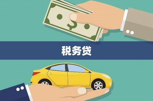 灌阳税务贷