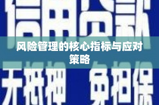 灌阳风险管理的核心指标与应对策略