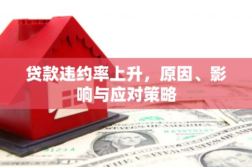 灌阳贷款违约率上升，原因、影响与应对策略