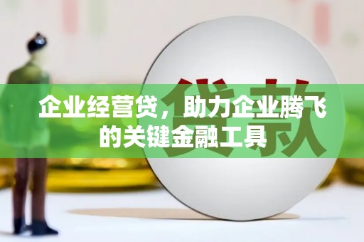 灌阳企业经营贷，助力企业腾飞的关键金融工具